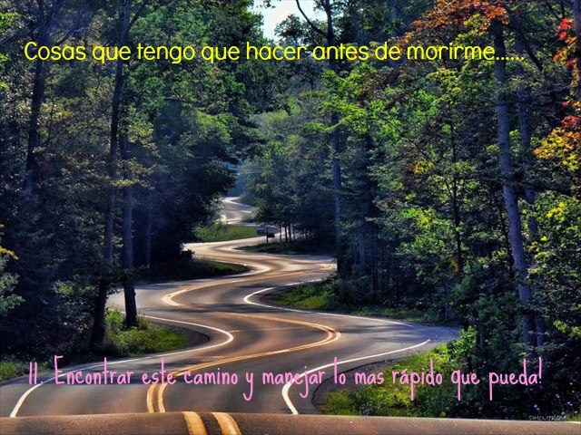 59610_525540317474220_853375057_n