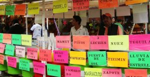 671_Web_feria_nieve_2013_xochimilco