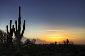 80afd2776c70fdeb37bec257b2c0695a