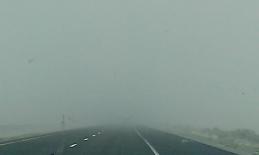 10172743_10152159341553337_2305632758988454465_n