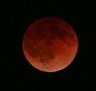 IMG_185415411753844_1