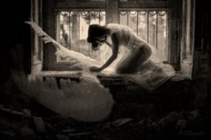 179c93229116506bfafe05c726e06638