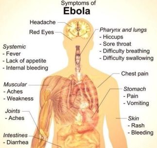 8d059765f1b0a0aaef0c8715402c6c7b