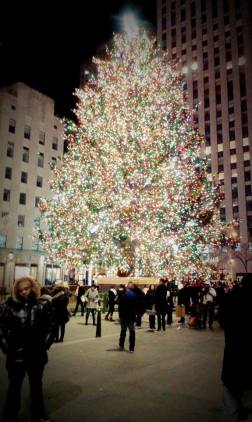 10893433_10152707047153337_1033670944_n