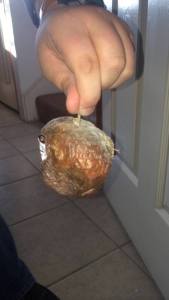 11066704_10152854257358337_12909644143675339_n