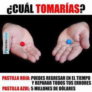 12193419_10207686588299850_4836129949666732940_n