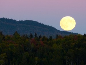 20150927_supermoon_0014-500x383