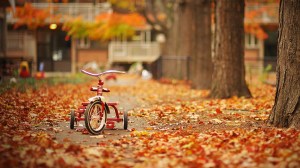 Bicycles-In-Autumn-Wallpaper-Desktop