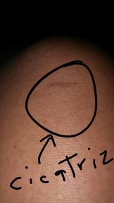 13340648_10153789166658337_2098461416_o