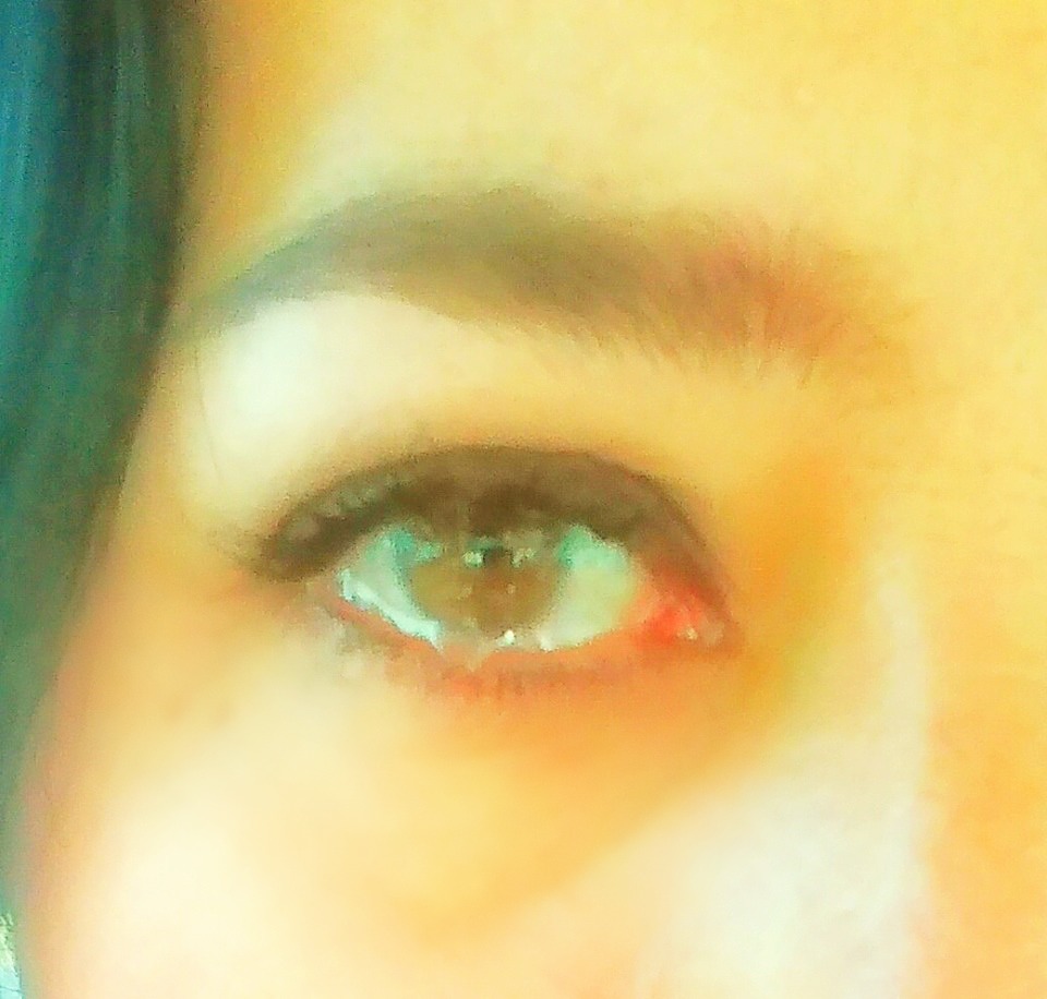 14569599_10154108649213337_349543063_n