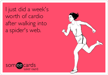 MjAxMy05MTM5Y2Y1ZmE1NWU5Y2U2