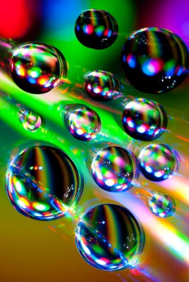 ccc339b11e23f88c92f3466e4361d85c