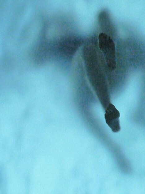 12742046_10153549716268337_7793499780837662238_n