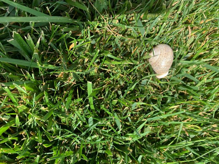 64390810_540688293129143_9046643676041707520_n