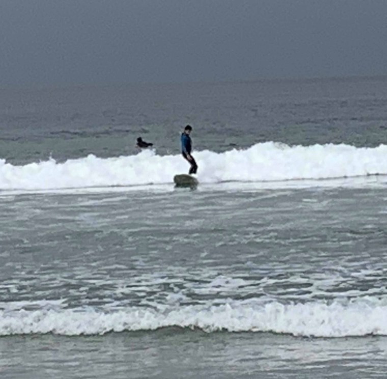 68831054_2336407239777659_4931723187206488064_n