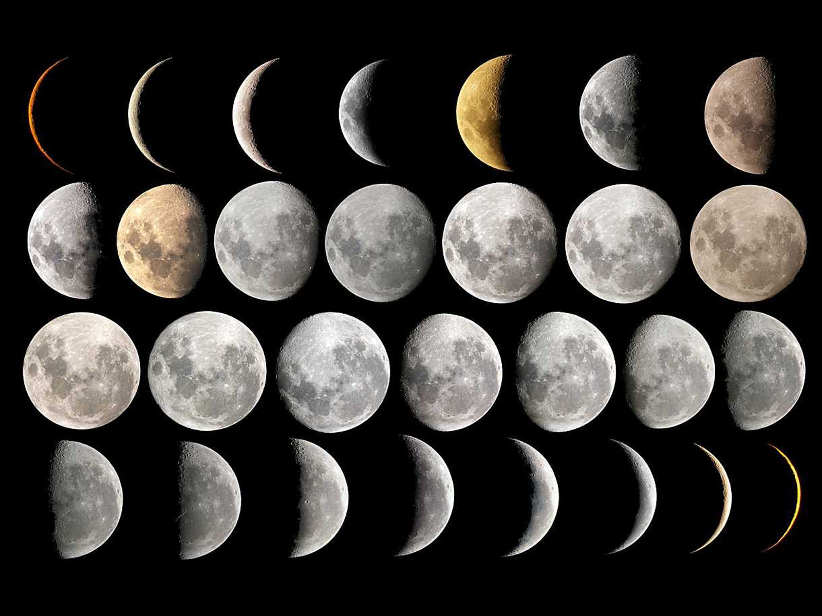 Moon Phases 1